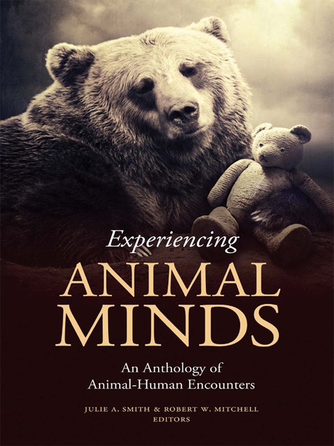 Cover image for book Experiencing Animal Minds
