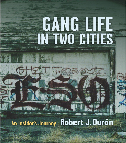 Cover image for book Gang Life in Two Cities
