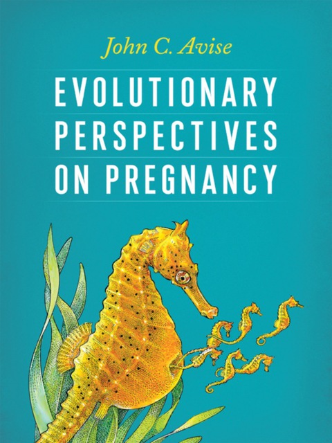 Cover image for book Evolutionary Perspectives on Pregnancy