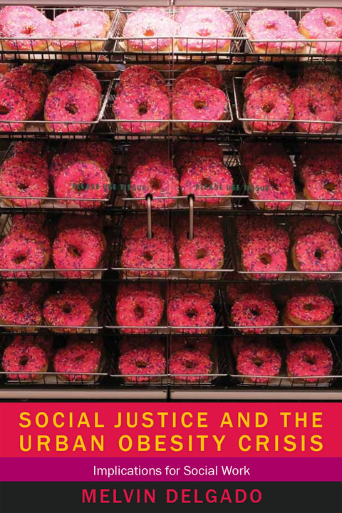 Cover image for book Social Justice and the Urban Obesity Crisis