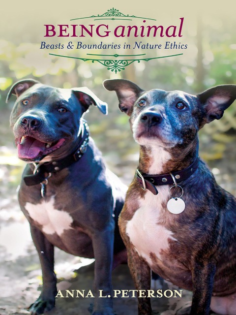 Cover image for book Being Animal