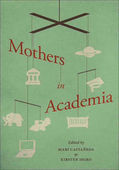 Cover image for book Mothers in Academia