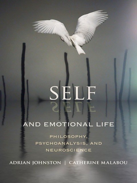 Cover image for book Self and Emotional Life