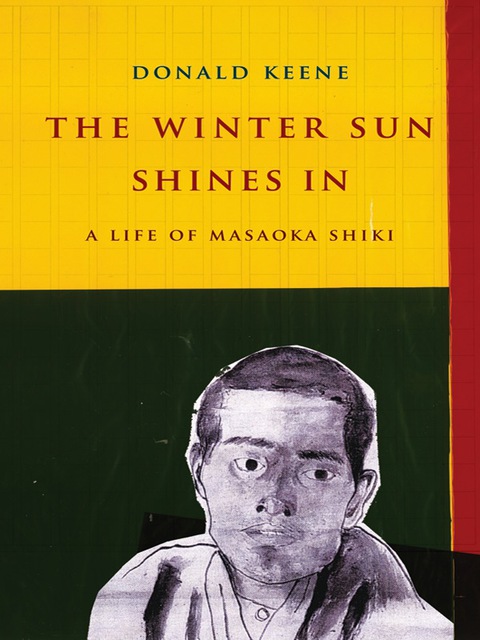 Cover image for book The Winter Sun Shines In