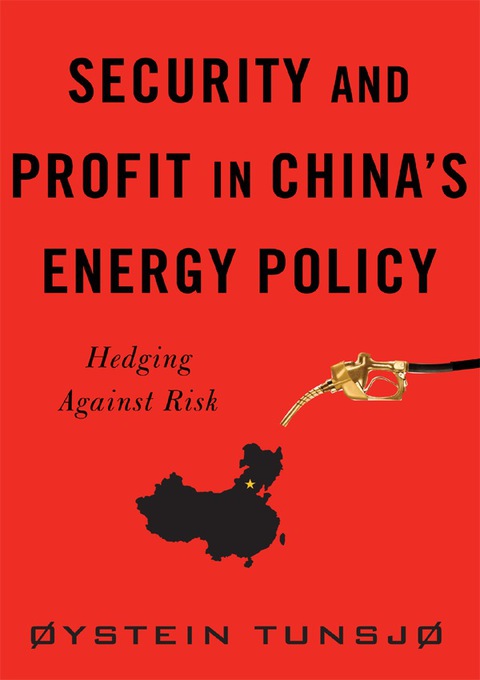 Cover image for book Security and Profit in China’s Energy Policy