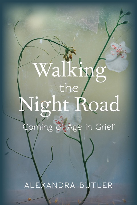 Cover image for book Walking the Night Road