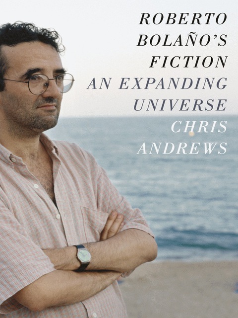 Cover image for book Roberto Bolaño's Fiction