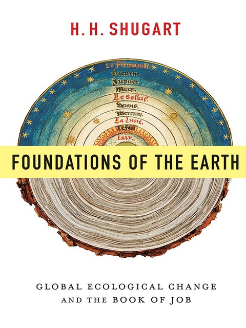 Cover image for book Foundations of the Earth