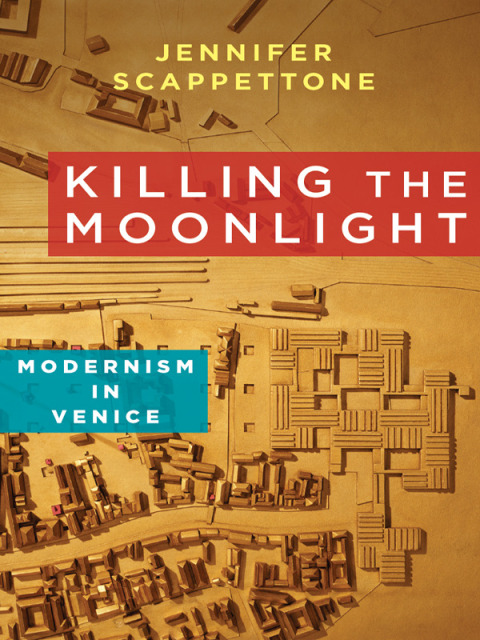 Cover image for book Killing the Moonlight