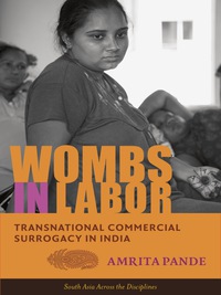 Omslagafbeelding: Wombs in Labor 9780231169905