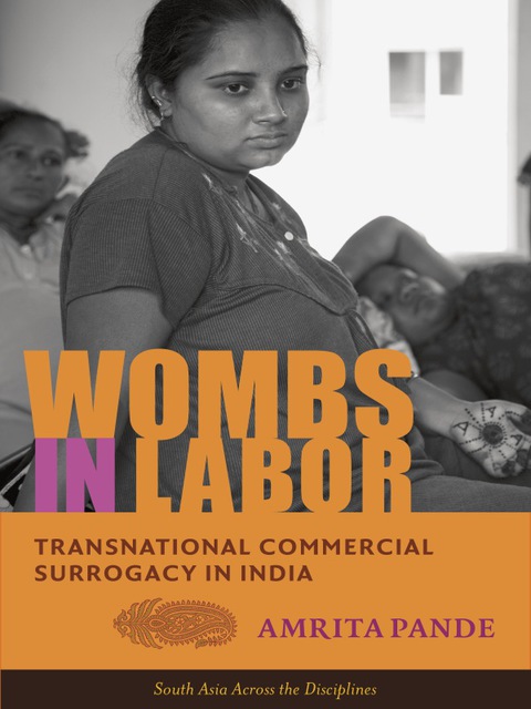 Cover image for book Wombs in Labor