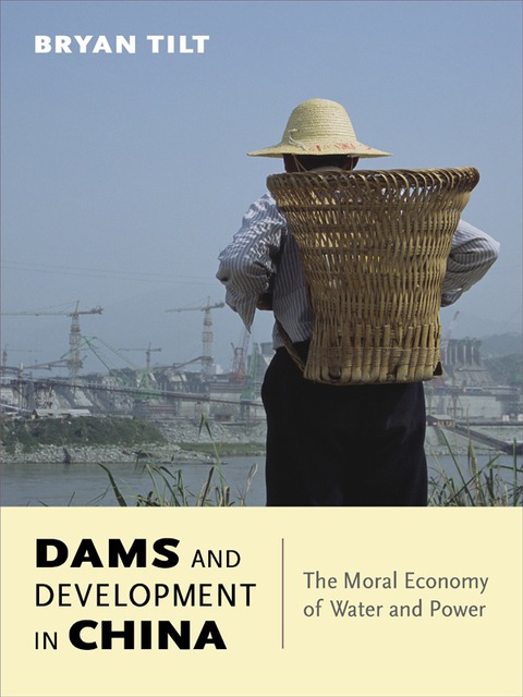 Cover image for book Dams and Development in China