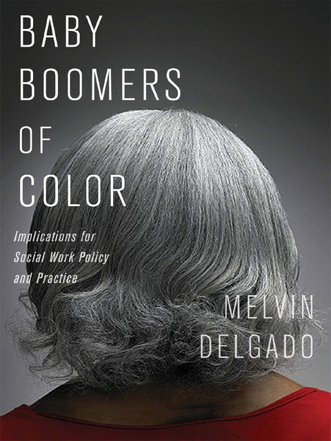 Cover image for book Baby Boomers of Color