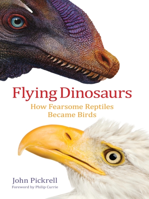 Cover image for book Flying Dinosaurs