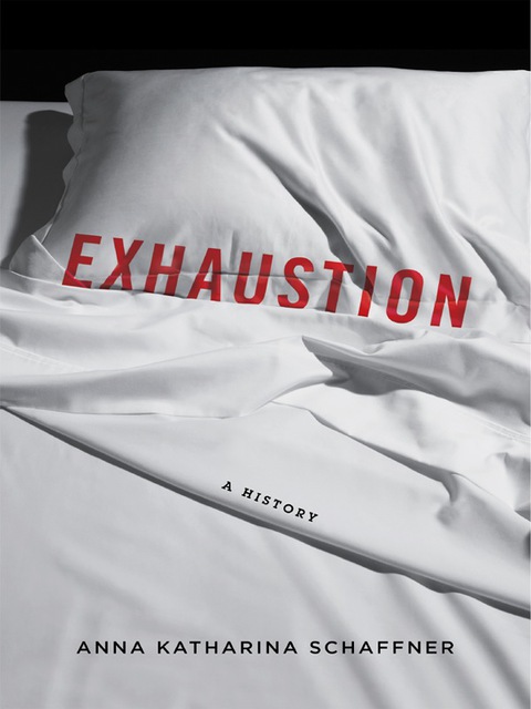 Cover image for book Exhaustion