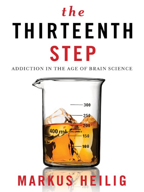 Cover image for book The Thirteenth Step