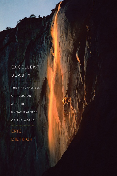 Cover image for book Excellent Beauty