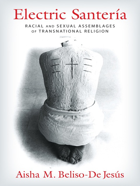 Cover image for book Electric Santería