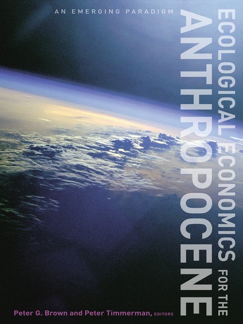 Cover image for book Ecological Economics for the Anthropocene