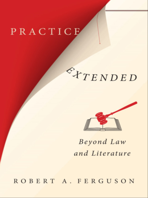 Cover image for book Practice Extended