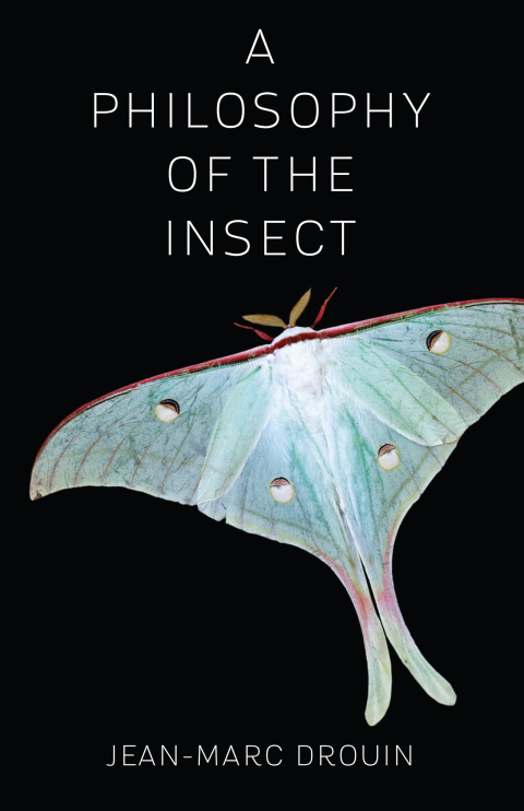 Cover image for book A Philosophy of the Insect