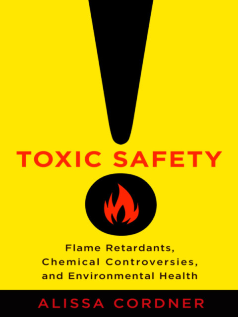 Cover image for book Toxic Safety