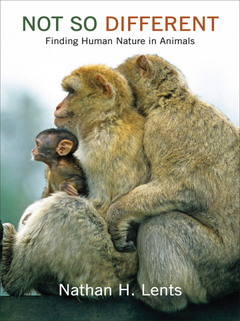 Cover image for book Not So Different
