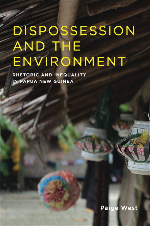 Cover image for book Dispossession and the Environment