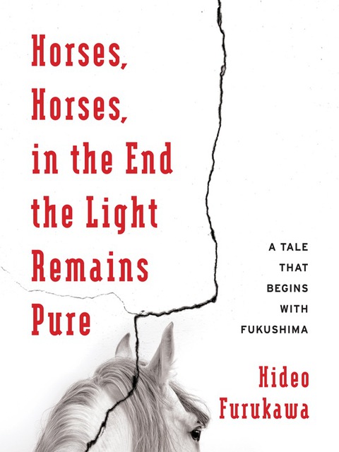 Cover image for book Horses, Horses, in the End the Light Remains Pure