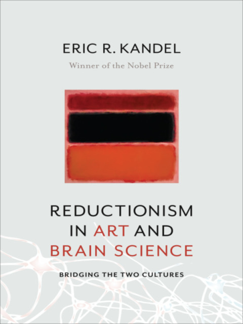 Cover image for book Reductionism in Art and Brain Science