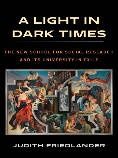 Cover image for book A Light in Dark Times