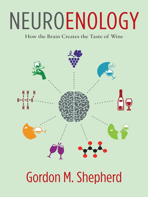 Cover image for book Neuroenology