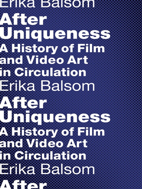 Cover image for book After Uniqueness
