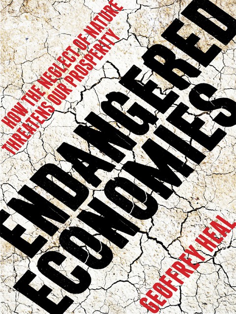 Cover image for book Endangered Economies