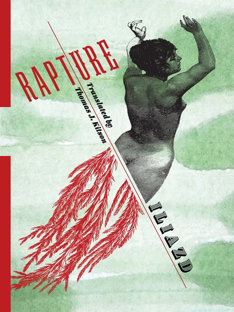 Cover image for book Rapture
