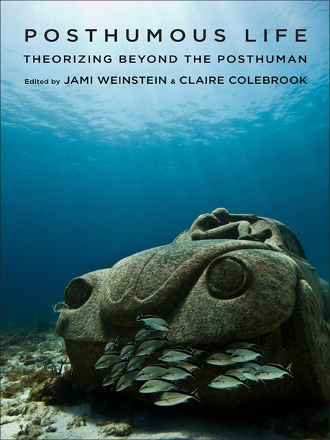 Cover image for book Posthumous Life
