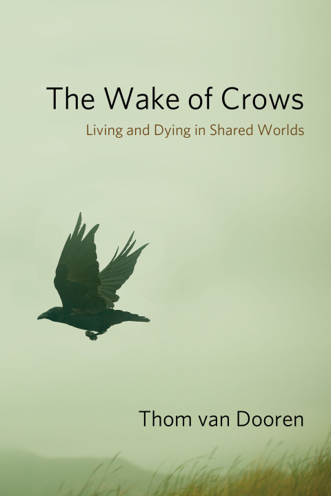 Cover image for book The Wake of Crows