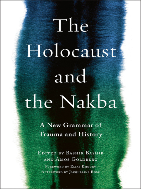 Cover image for book The Holocaust and the Nakba