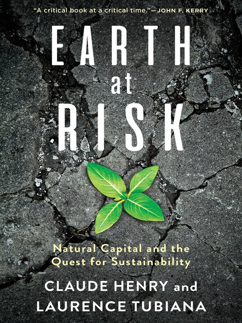 Cover image for book Earth at Risk