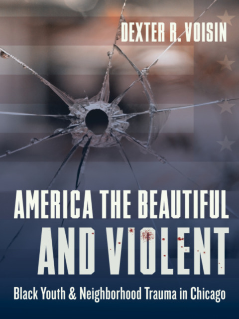 Cover image for book America the Beautiful and Violent