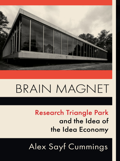 Cover image for book Brain Magnet