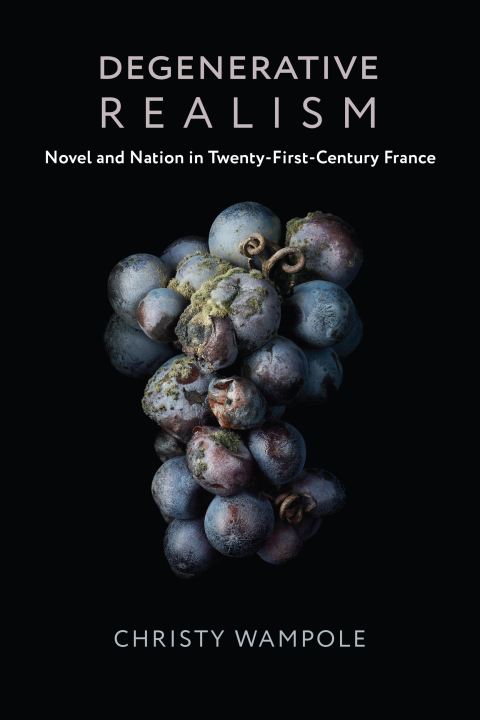 Cover image for book Degenerative Realism