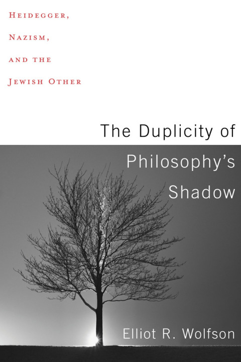 Cover image for book The Duplicity of Philosophy's Shadow