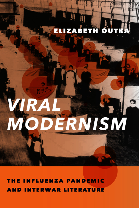 Cover image for book Viral Modernism