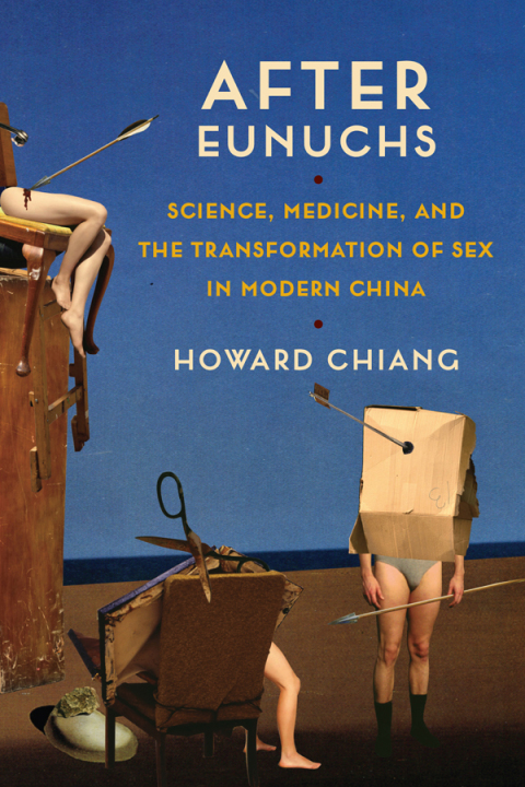 Cover image for book After Eunuchs
