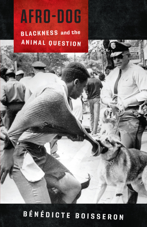 Cover image for book Afro-Dog