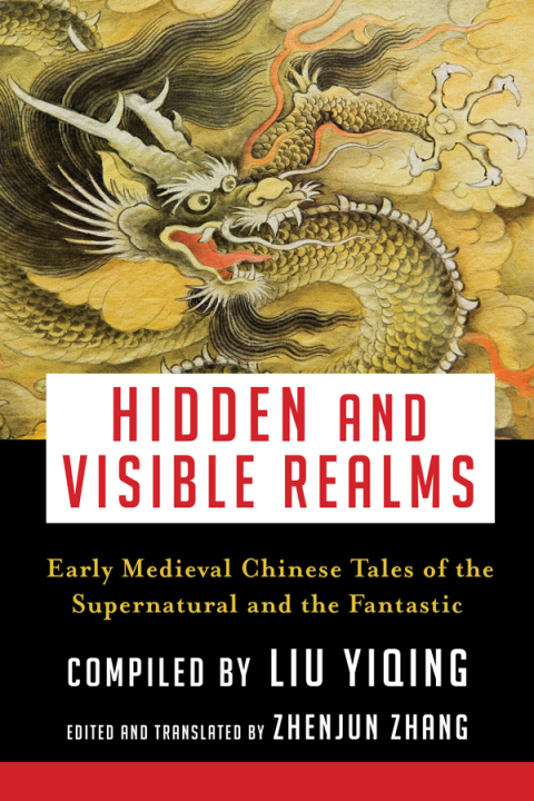 Cover image for book Hidden and Visible Realms