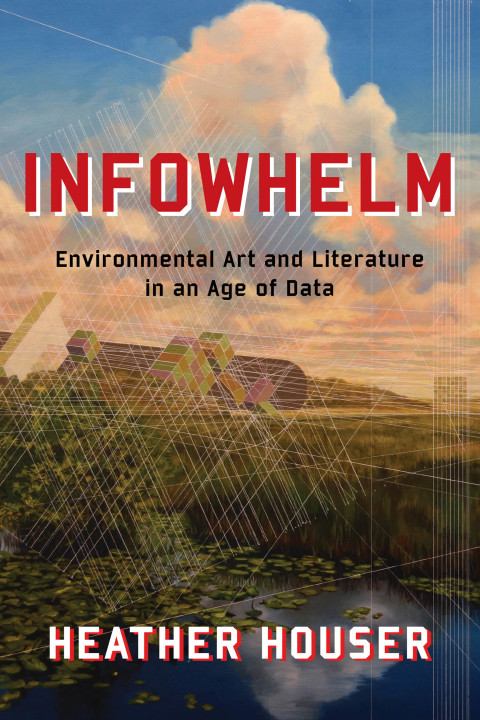 Cover image for book Infowhelm