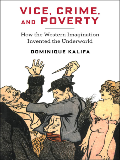 Cover image for book Vice, Crime, and Poverty