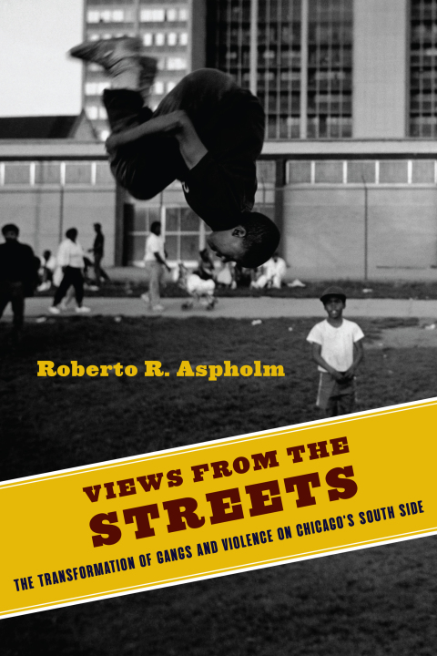 Cover image for book Views from the Streets